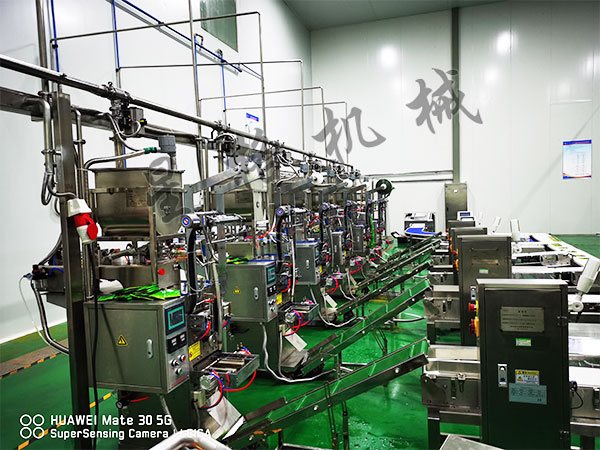 速食快餐醬料包裝機械穩(wěn)定性怎么樣(圖1) 速食快餐醬料包裝機械穩(wěn)定性怎么樣(圖1)